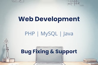 fix bugs in your PHP java or mysql project