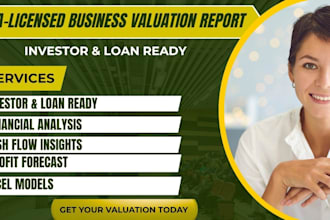 provide business valuation report for funding or investors