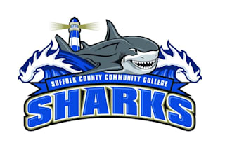design high quality dolphin mascot logo with t shirt design