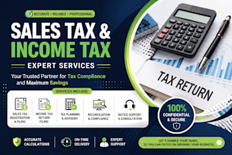 provide sales tax and income tax services professionally