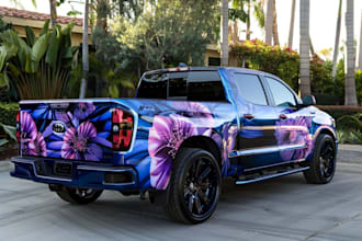 professional car wrap, van wrap
