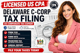 file your delaware c corp tax return, franchise tax and annual report as CPA