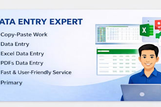 do professional data entry, copy paste, typing work
