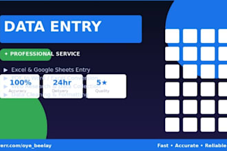 do fast and accurate data entry and copy paste work