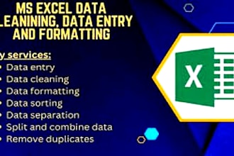 do excel data cleaning and formatting