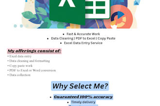 do excel data entry and data cleaning