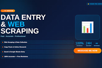 do data entry, web scraping and excel data collection