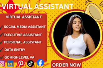 executive virtual assistant ghl VA social media virtual assistant email manager