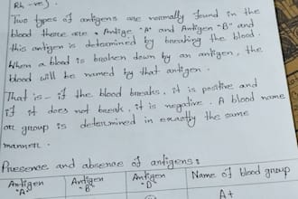 draw neat biology diagrams for students