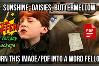 manually convert PDF or image to word file at the cheapest price