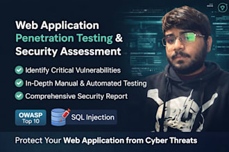 perform professional web app penetration testing and security audit
