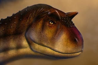 draw accurate dinosaur and prehistoric animal illustration