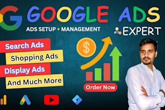google ads setup, management and growth expert