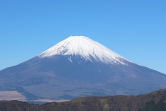help you with your business in japan