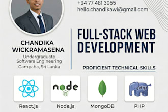 develop custom full stack web applications