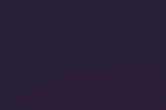 test your website for security vulnerabilities like XSS, idor, and misconfig