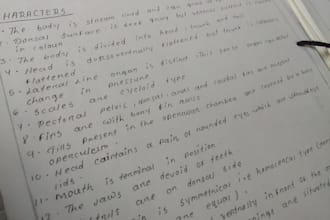 write easy to understand handwritten notes