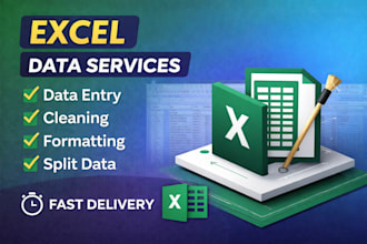 do excel data cleaning, format, split excel data