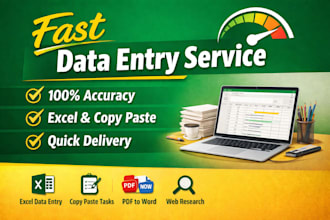 do fast and accurate data entry, copy paste, excle work
