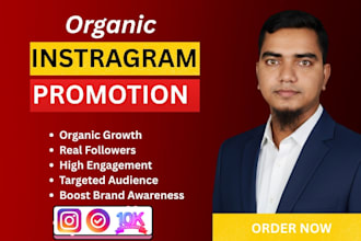 do organic instagram promotion to grow your followers and engagement