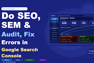 do SEO, SEM, gem, audit fix errors in google search console, indexing