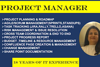 be your remote project manager