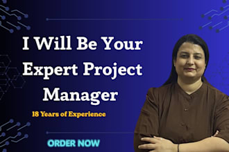 assist you with project management and i will be your expert project manager