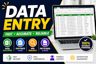 do accurate data entry, excel, copy paste