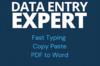 do fast data entry typing copy paste and PDF to word conversion