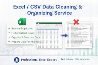 clean, format and organize excel or CSV data professionally