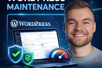 maintain your wordpress website monthly