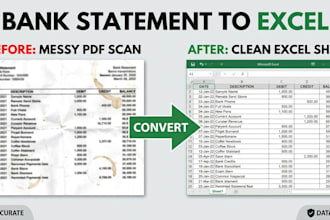convert bank statement to excel or CSV within 24 hrs