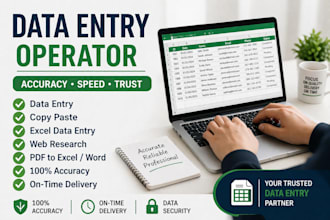professional data entry, copy paste, excel and typing work
