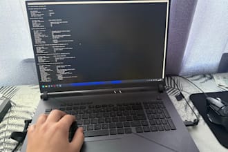 provide IT support and networking repair