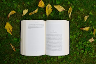do book layout design and typesetting