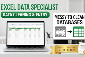 professional data entry, web research, copy paste tasks