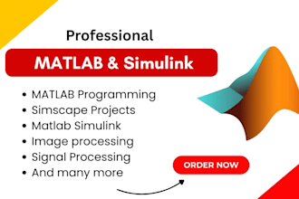 do unique matlab, matlab simulink, matlab programming and gui tasks