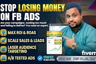 setup and manage highly profitable fb ads and ig ads for sales growth