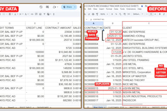 do accurate data entry and spreadsheet management