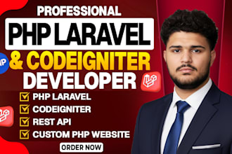 develop a PHP laravel and codeigniter website or web application