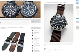 build profitable wrist watch shopify store wristwatch jewelry website
