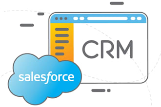 setup, configure and customize salesforce CRM