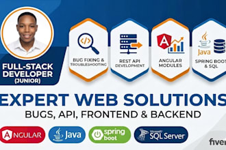 develop or fix bugs in angular and java spring boot applications