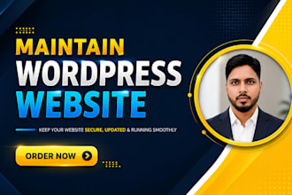 do monthly wordpress website maintenance and support