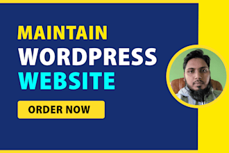 do monthly wordpress website maintenance and support