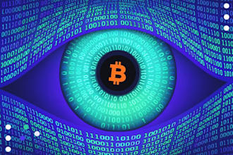develop a crypto wallet tracker blockchain transaction monitor and portfolio