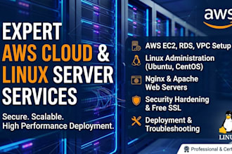 setup aws cloud and linux server for you