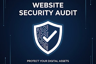 do a complete security audit of your website