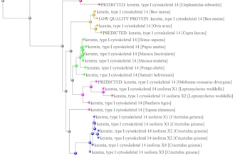 perform phylogenetic tree analysis and evolutionary study
