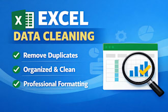 organizaré, limpiaré y formatearé tus datos en excel profesionalmente
